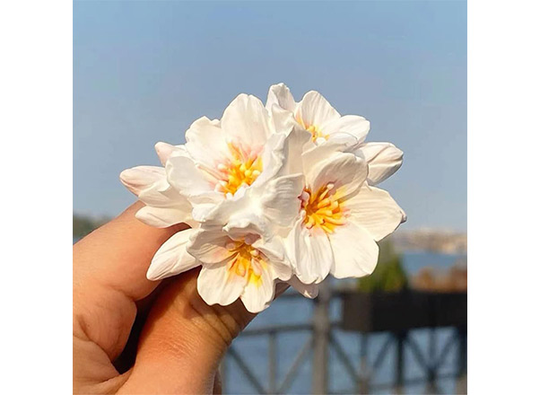 Cherry blossom stamens molds